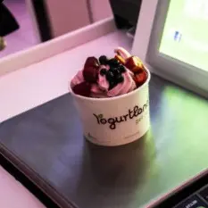 Frozen Yogurt